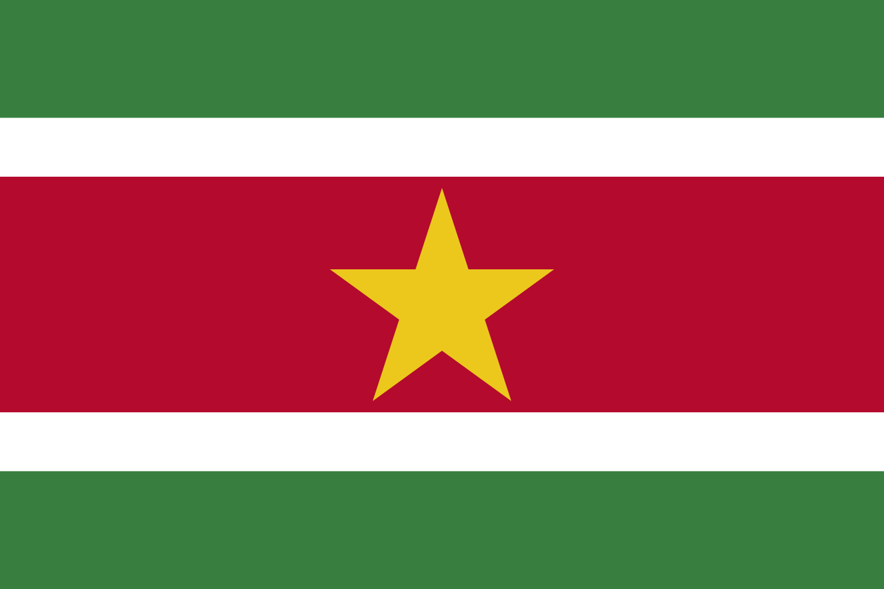 Suriname - Landesflagge