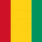 Reisestecker für Guinea